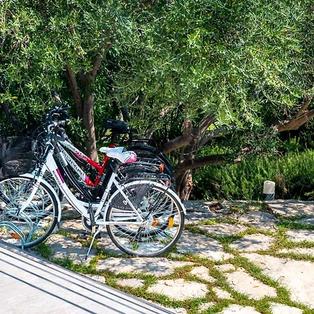 Marceline * 프르빅루카