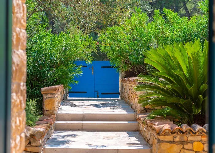 Marceline Prvić Luka